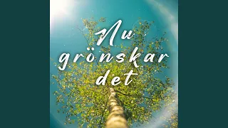 Nu grönskar det