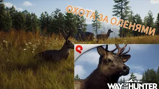 Way of the Hunter / охота за оленями