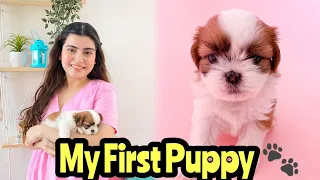 Meet Our New Puppy | Shih Tzu First Day At Home | Cutest Shih Tzu Puppy 🎀| Yashita Rai