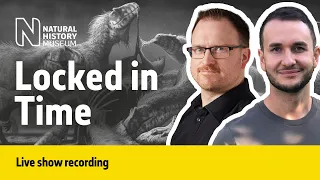 What do fossils tell us about animal behaviour? | Live Talk with NHM Scientist