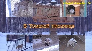 mini zoo in the Tomsk Pisanitsa