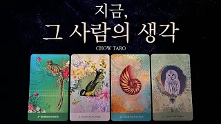 [타로] 지금! 그 사람의 생각, 내게 하고싶은 말과 4주간 행동력🔮