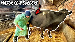 EMERGENCY SURGERY!... COW GOES UNDER THE KNIFE!