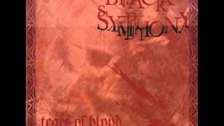 Black Symphony - Zero the Hero (Black Sabbath cover)