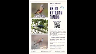 Virtual Avitourism Training Session 1