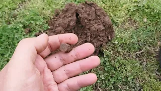 СЕРЕБРООО!!! СТРЕЛЕННЫЕ ГИЛЬЗЫ В ГОРОДСКОМ ПАРКЕ. ПОИСК КЛАДА МОНЕТ И ЗОЛОТА С GARRETT AT PRO