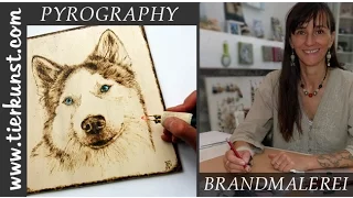 Speedpainting Pyrography Husky. Brandmalerei Husky Portrait Entstehung.