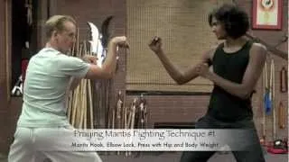 Praying Mantis Kung Fu - 10 Real Fighting Moves!