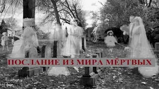 ПРЕДУПРЕЖДЕНИЕ И ПОДСКАЗКИ ДЛЯ ВАС ИЗ МИРА МЁРТВЫХ