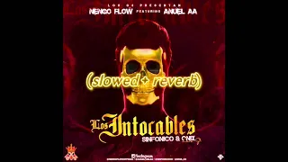 Ñengo Flow Ft Anuel AA - Los Intocables (𝙨𝙡𝙤𝙬𝙚𝙙 + 𝙧𝙚𝙫𝙚𝙧𝙗)