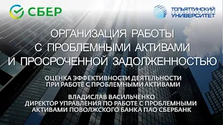 СБЕР В ТГУ: ОЦЕНКА ЭФФЕКТИВНОСТИ ДЕЯТЕЛЬНОСТИ ПРИ РАБОТЕ С ПРОБЛЕМНЫМИ АКТИВАМИ