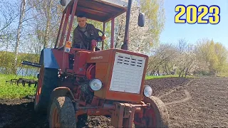 Перша оранка трактором т 25 під картоплю 2023 після дощів