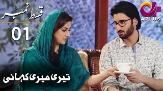 Teri Meri Kahani - Episode 1 | A Plus ᴴᴰ Drama | Agha Ali, Hiba Bukhari | C8A1Q | Pakistani Drama