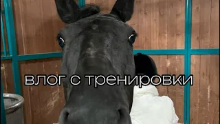 влог с конюшни)на данный момент перехожу туда)