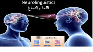 Neurolinguistics اللغة والدماغ