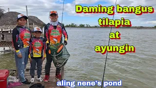 Ang daming bangus tilapia at ayungin/@jenrobstv (Aling Nene's pond