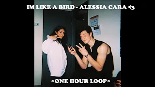 im like a bird - alessia cara (Nelly Furtado cover) | ONE HOUR LOOP