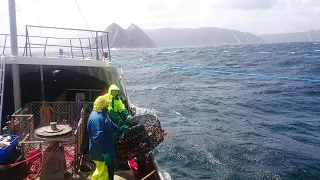 Stories of Crayfishing (Lobstering) Around Tasmania.