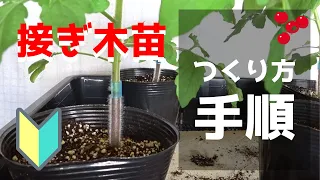 [Introduction] Flow of making grafted seedlings and necessary items [Tomatoes and cherry tomatoes]