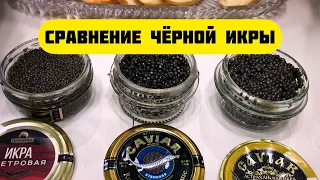 Сравнение осетровой чёрной икры. Какую икру купить?