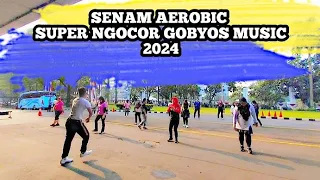 🔴 15 MENIT SENAM AEROBIC SUPER NGOCOR   TERBEST MUSICNY JOSS ||#aerobic #senamaerobik