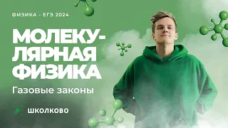 Молекулярная физика. Газовые законы | ЕГЭ 2024 по физике