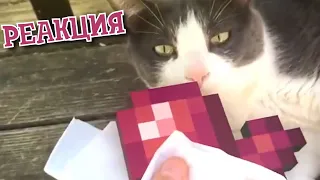 РЕАКЦИЯ НА UNUSUAL MEMES COMPILATION V101 | ЗАСМЕЯЛСЯ - ПОДПИСАЛСЯ