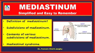 Mediastinum | Mediastinum anatomy | Mediastinum contents|