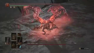 Dark Souls 3 Boss vs Boss - Demon Prince vs Dragonslayer Armour/Shira - Arena Master Mod