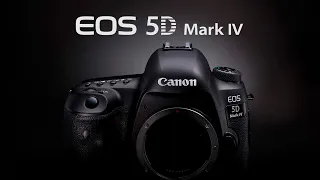 Tutorial Canon 5D Mark IV / Что делает каждая функция / Часть 7 (Настройки видео)