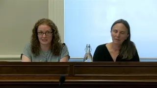 Dunedin City Council - Public Forum - 12 November 2019