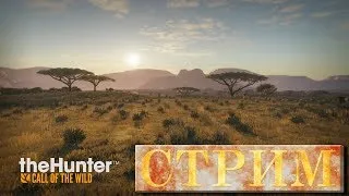 🔴"Охотимся на Африканских буйволов" theHunter: Call of the Wild🔴 (СТРИМ) | Buffalo hunting