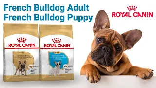 Сухой корм Royal Canin French Bulldog Adult & French Bulldog Puppy для французского бульдога