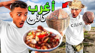 وثائقي: وأخيراً وصلنا إلى مدينة الداخلة🇲🇦وجمع أندر بلح البحر😱صدفنا كائن غريب🤯