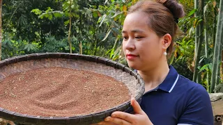 Harvest Vegetable Seeds Goes To Market Sell - Improve Mountain Soil To Grow Pumpkin Seeds