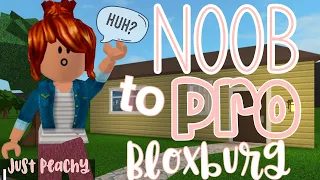 Things we ALL did as noobs in bloxburg | Noob t Pro