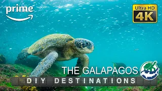 DIY Destinations (4K) - The Galapagos Budget Travel Show  | Full Episode - Season Finale