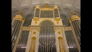 Elias Niemelä Toccata 9000