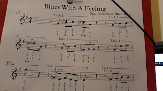 Paul Butterfield Blues with a feeling practice harmonica C