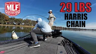 29 LB BAG - Harris Chain MLF WIN!  High School Bass Fishing Tournament