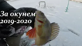 ЗА ОКУНЕМ 2019-2020 / FOR BASS 2019-2020