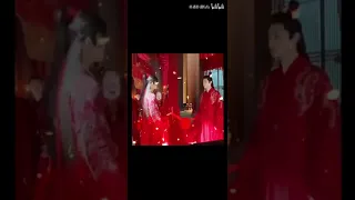 【Immortality BTS】The Grand Wedding完整版大婚 | Luo Yunxi X Chen Feiyu |飞云系 | Feiyunxi | 皓衣行 | Haoyixing