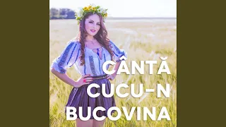 Canta Cucu-n Bucovina