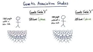 Genetic Association Studies - Tales from the Genome