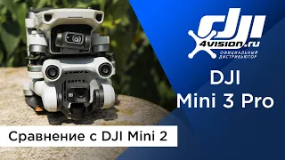 Сравнение DJI Mini 3 Pro и Mini 2