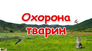 Охорона тварин  #ЯДС​​ #природа