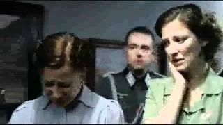 Hitler gets told he cannot divide by zero