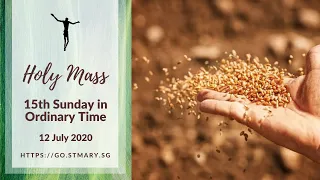 Holy Mass - 15th Sunday in Ordinary Time - 12 July 2020