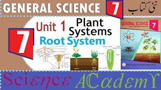 Science 7 Unit 1 ✅ Root System | Lecture 1 of 7th class science | ✅ Unit 1 Plant Systems