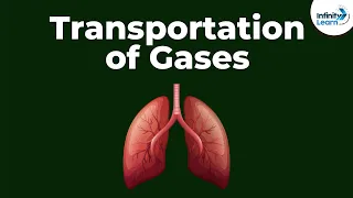 Transportation of Gases | Don't Memorise